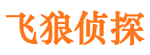 安县市婚外情调查